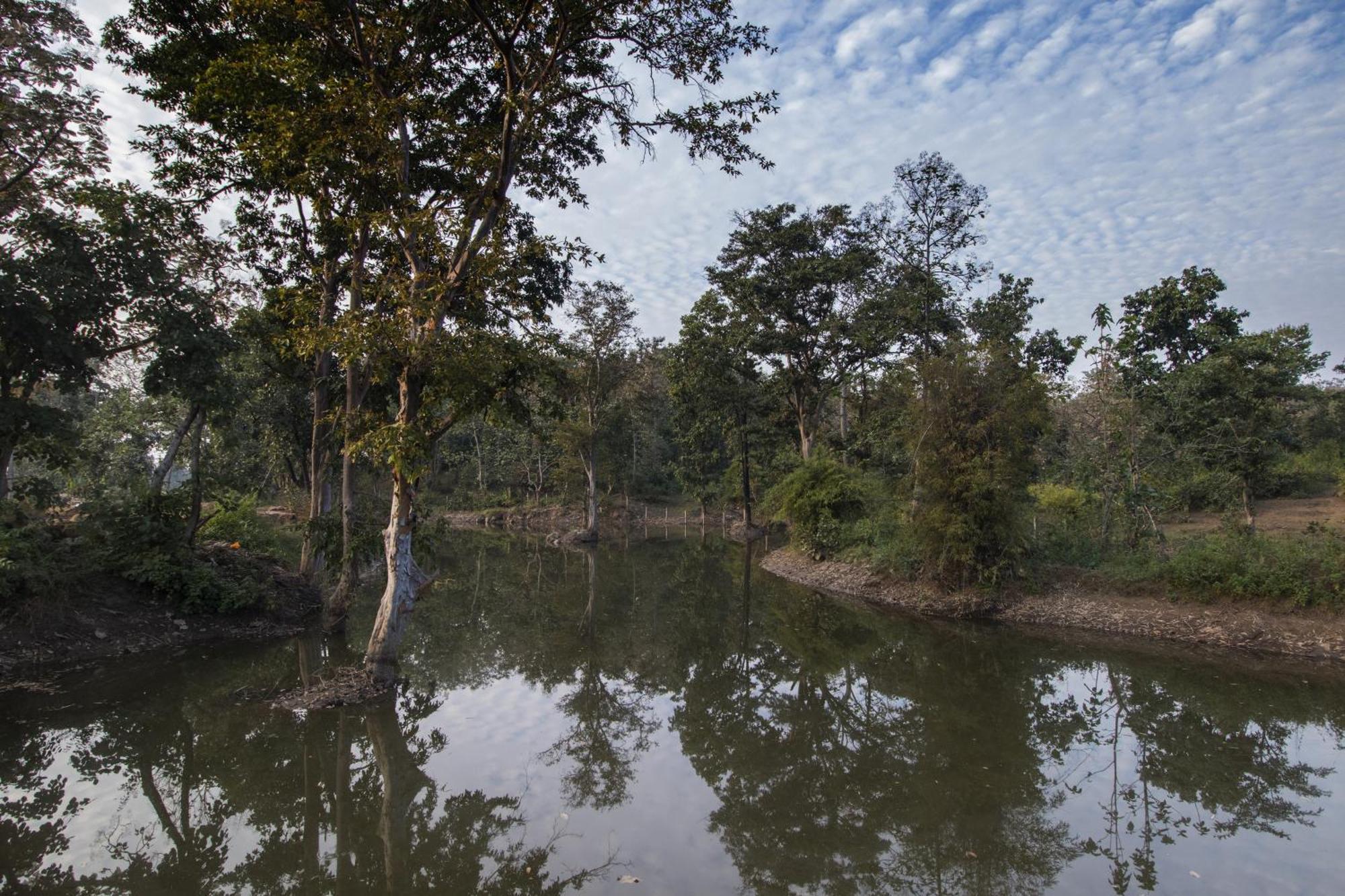 Wowstayz Pachmarhi Ecotel エクステリア 写真